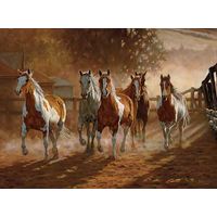 Coming Home - Horses Framed Canvas by Chris Cummings