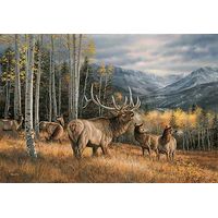 Small Framed Meadow Music - Elk Canvas (17"x 22")