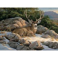 GNA Prem; Rocky Outcrop - Mule Deer