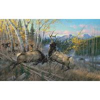 Framed Limited Edition Canvas Battling Bulls - Elk