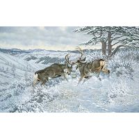 Framed Limited Edition Print Battling Bucks - Mule Deer