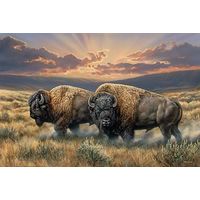 Dusty Plains - Bison
Art Prints