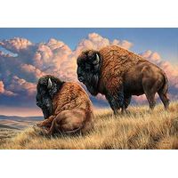 Framed Artist Proof Print Prairie Monarchs - Bison