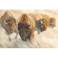 Framed Dust of Time - Bison Canvas
