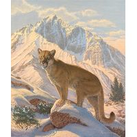 Framed Limited Edition Canvas Spirit of the West - Cougar