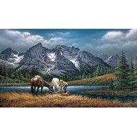 Rustic Framed Encore Canvas For Purple Mountain Majesties