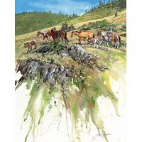 A Fine Day - Horses
Art Prints