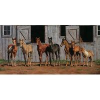 Little Partners - Foals
Canvas Art Print