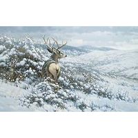 Framed White Silence - Mule Deer Canvas