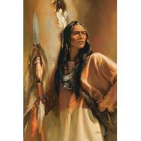 Framed Redhawk - Native American Print