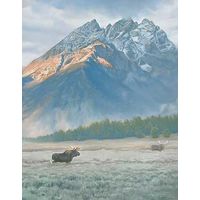 Near the Base of the Mountain - Moose Canvas Art Print
