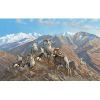 Framed Limited Edition Canvas Stone Kings - Stone Sheep