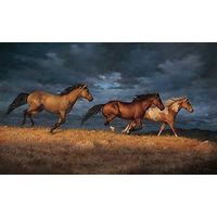 Framed Thunder Ridge - Horses Canvas