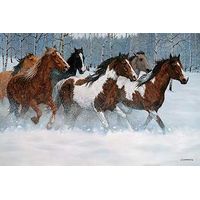 Framed Winter Run - Horses Canvas