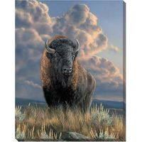 16"x20 - 1/2" Wrapped Canvas Distant Thunder - Bison