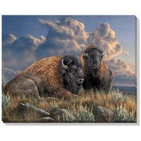 19"x 24" Wrapped Canvas Distant Thunder - Bison