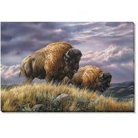 Nomads of the Plains - Bison Wrapped Canvas Art