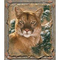 Caught by the Light - Cougar Wrapped Canvas Art