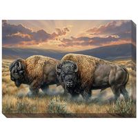 13"x 18" Wrapped Canvas Dusty Plains - Bison