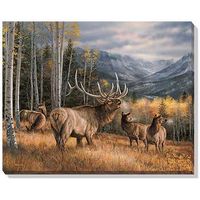 Meadow Music - Elk  Wrapped Canvas Art