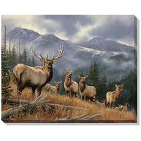 Royal Mist - Elk  Wrapped Canvas Art