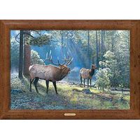 Spirited Exchange - Elk Framed Canvas Print