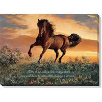 Fire in the Sky - Horse Inspirational Wrapped Canvas Art