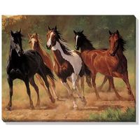 Home Run - Horses  Wrapped Canvas Art