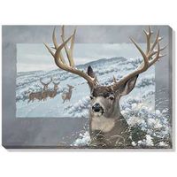 Great Game Animals - Mule Deer Wrapped Canvas Art