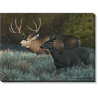 Out of the Shadows - Mule Deer Wrapped Canvas Art