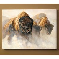 Phantoms of the Plain - Bison Wrapped Canvas Art