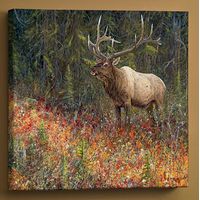 Tapestry - Elk Wrapped Canvas Print