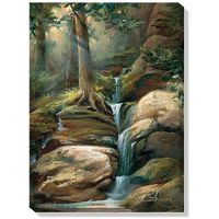The Dells - Waterfall  Wrapped Canvas Art