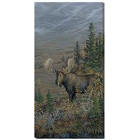 Big Country - Moose Wrapped Canvas Art