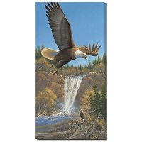 Eagles and Waterfall Wrapped Canvas Art
