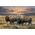 Rustic Framed Gallery Canvas Dusty Plains - Bison