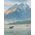 Near the Base of the Mountain - Moose Canvas Art Print