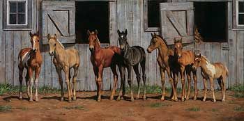 Framed Little Partners - Foals Canvas