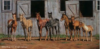 Little Partners - Foals Canvas