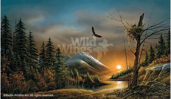 Walnut Framed Pinnacle Print Flying Free - Bald Eagles