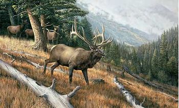 A Challenge to All-Elk Art Print by Ron Van Gilder