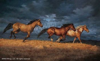 Framed Thunder Ridge - Horses Canvas