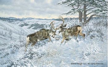 Limited Edition Print Battling Bucks - Mule Deer
