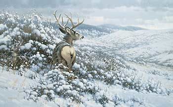 White Silence - Mule Deer Canvas