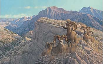 Framed Limited Edition Canvas Desert Kings - Bighorn Sheep