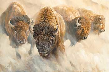Dust of Time - Bison Canvas