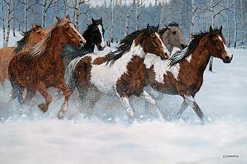 Winter Run-Horses Ovation Canvas by C. Cummings