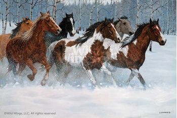 Winter Run - Horses Ovation Canvas