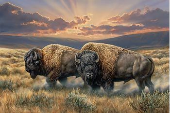 Lighted Wrapped Canvas Dusty Plains - Bison