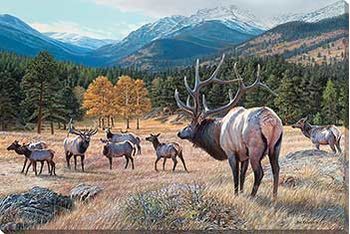 Edge Of Trouble - Elk Wrapped Canvas Art